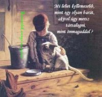/album/lelki-segely/kep1-jpg/